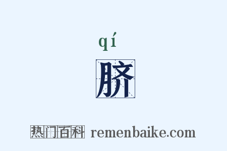 脐是什么意思的图片